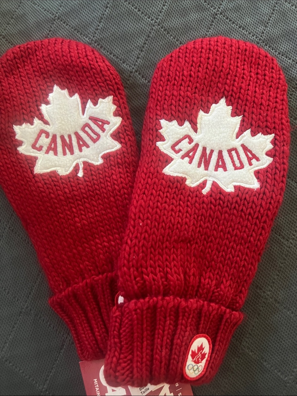 NWT Hudson’s Bay Team Canada 2012 Olympic Red Mittens